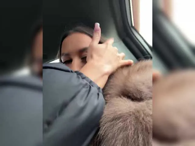 Karamelikaa's avatar