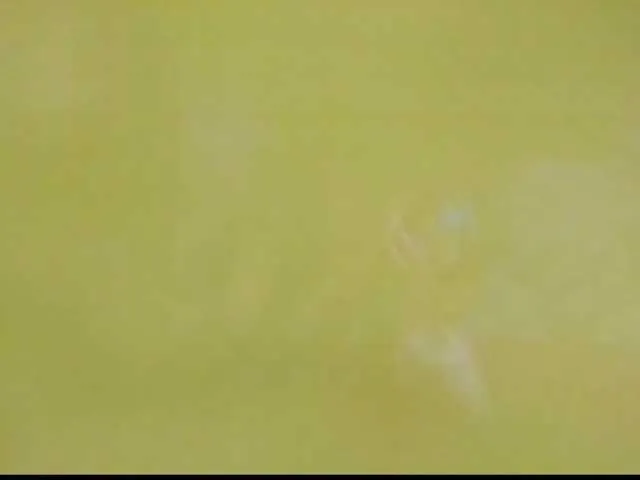 MiaaLove6969's avatar