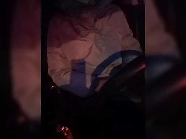 your-lioness's avatar