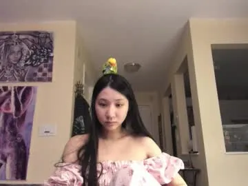 Avatar of alizezaide