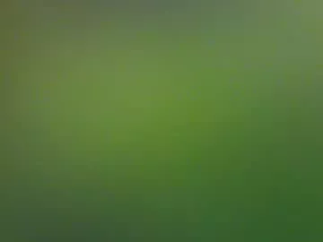 Avatar of clovershit1