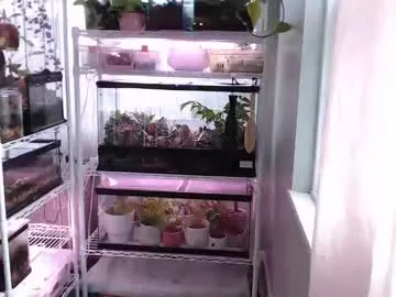 constantcumquest's avatar