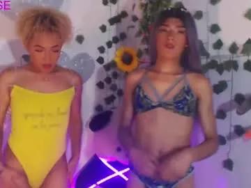 couple_sweet1016 from Chaturbate is Freechat