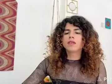 desidias — Desidias's room #anal #hairy #hairyarmpits  #18  #femboy