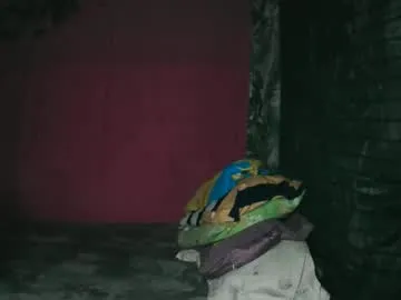 Avatar of kritthanarkorn