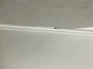 lilith_rose6 — GOAL: Full nude [178 tokens remaining] Welcome to my room! #feet #18 #anal #latina #natural