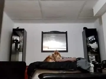 Avatar of littleleo96