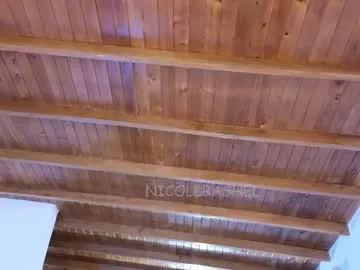 Avatar of nicollbashel