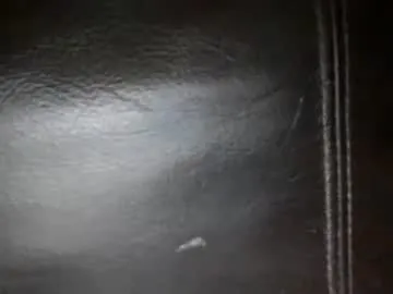 secret18slaveanon — IF your in tennessee lets be friends! #submissive #slave #kinky #anal #bigboobs