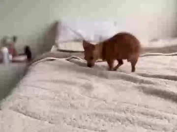 Avatar of teffsweet18