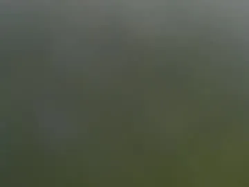 wisanonymousman — Wisanonymousman's room  #submissive #daddy  #cockring