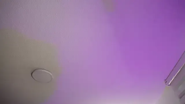 Avatar of _Charlotte_Collins_