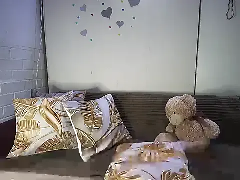 Anniseed_64 — Raising funds for 5 in1vaccines for cats