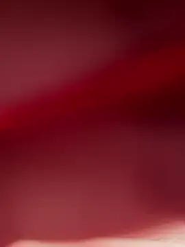 Avatar of Bandidasexy22