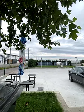 Avatar of baramadalin