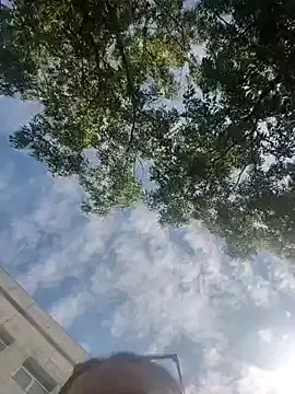 Avatar of Brilliant-Queen1