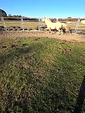 brokecountrylads — cum 4 you