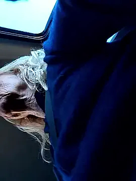 clarabell4 — Strip underwear