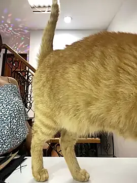 Avatar of EmilyHarperr