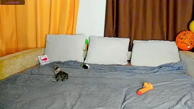 Eva_purrr_ — Freechat on StripChat