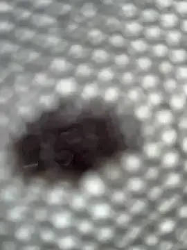 Avatar of eveangelll