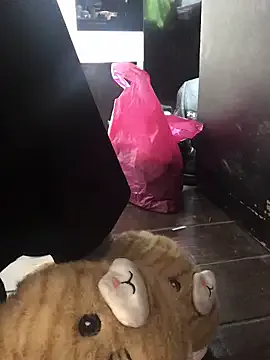 Evil_kitty6 — Quitarme las pantuflas