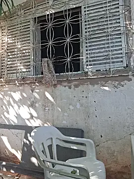 Flora-latin-girl — Gozar com dildo