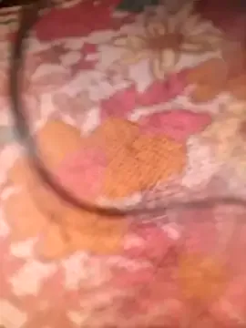 Avatar of floresblancas