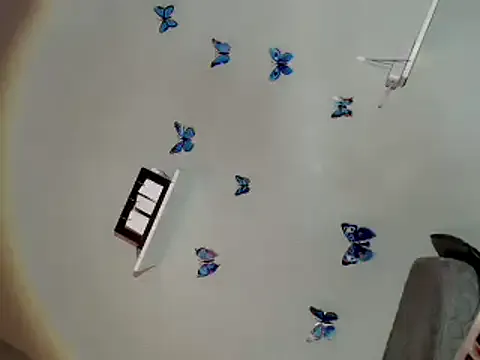 Avatar of girl_in_black28