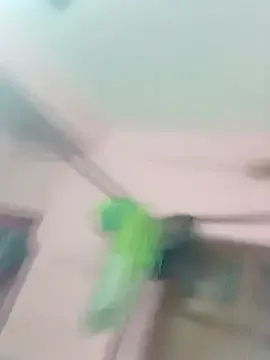 Lexi_Baby_ — doggy style