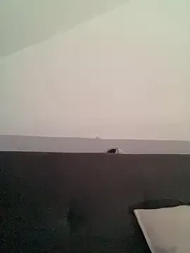 Avatar of LiaCollings