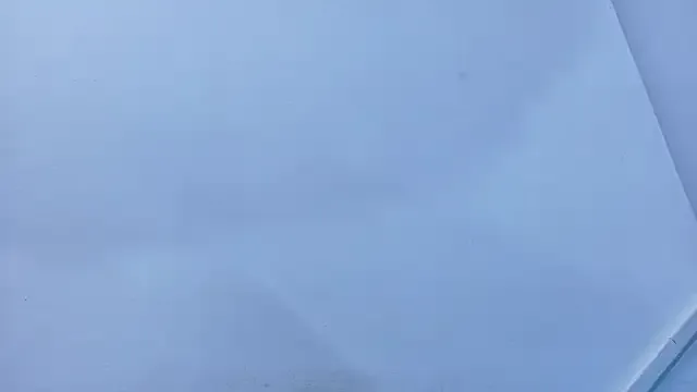 Avatar of Lizbeth_Rouse