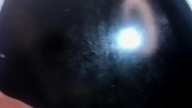 Avatar of lola_hornei