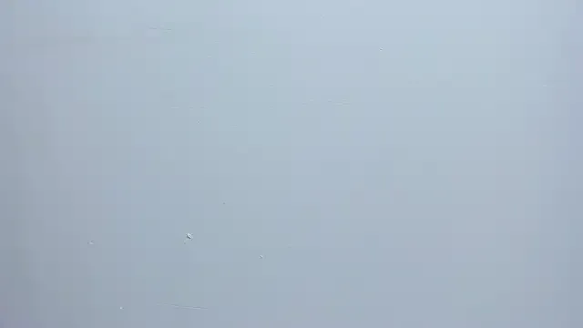 Avatar of Malory__Jones