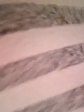 Avatar of Miss_tits2025