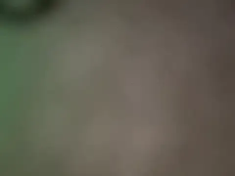 Avatar of Molly-baby7