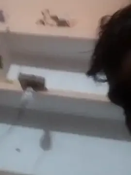 monarani5986 — 10000