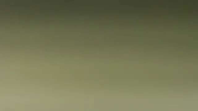 Avatar of NaughtyChubbyZoe