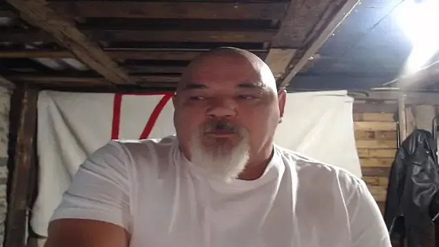 Newfiesausage1972's avatar