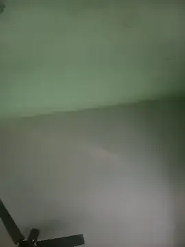 Potti-model-81 — gift me a new house