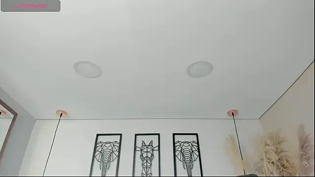 Avatar of Rebeca_jones