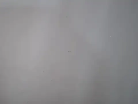 Avatar of SapioSexualAsianTrans