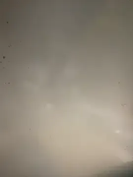 sasatimido — Solo soletto