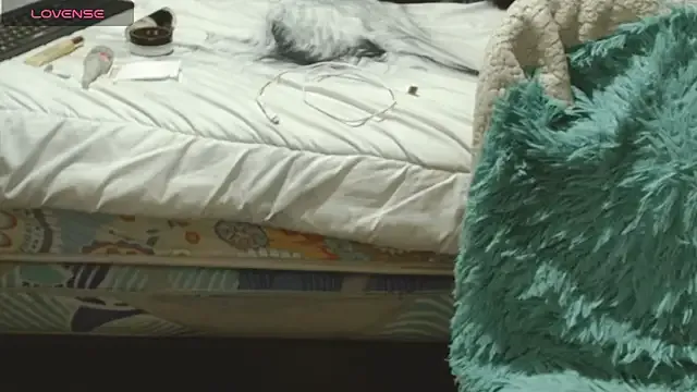 Avatar of Sasharosee2