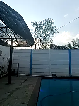 Avatar of SexyDollarGal