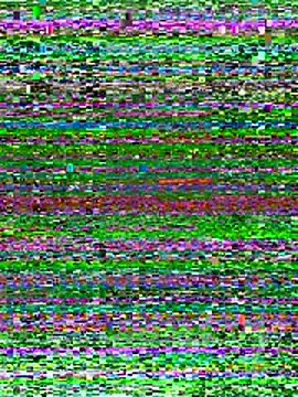 Avatar of Shelas_room_official