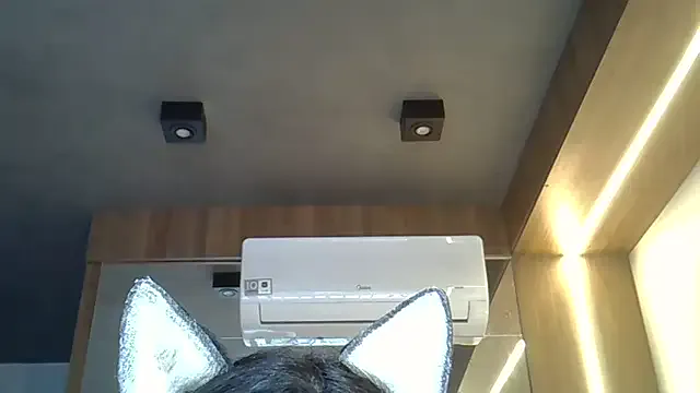 Avatar of SkinnyKitten