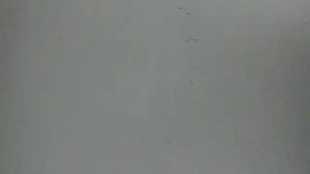 Avatar of Sophia_Ebony