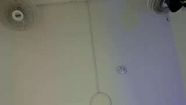 Avatar of SOPHICOLLINS