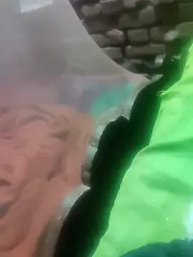 sshrichandra — Freechat on StripChat